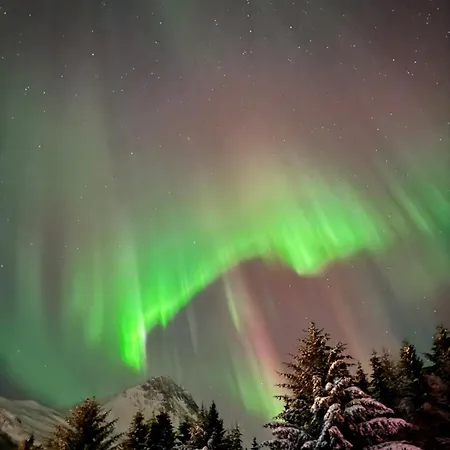 Проживание в семье Buktarommet *